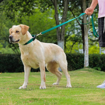 Waterproof Dog Collar 11.8-18.5 inch)