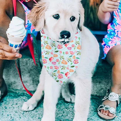 Hawaii Dog Bandanas 2 Pack