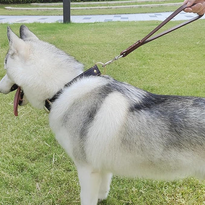 Leather Short Dog Leash 12" 360º Heavy