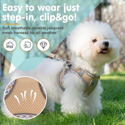 Dog Harness and Leash Set, No Pull Pet Harness for Small Dogs Easy Walking,Soft Breathable Small Dog Harness,Adjustable Reflective Step in Vest Harness for Puppy,Kitten, Cats