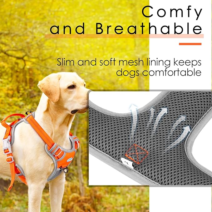 ThinkPet No Pull Harness Breathable Sport Harness with Handle-Dog Harnesses Reflective Adjustable for Medium Large Dogs,Back/Front Clip for Easy Control S Neon Orange