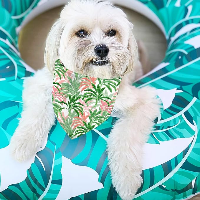 Hawaii Dog Bandanas 2 Pack