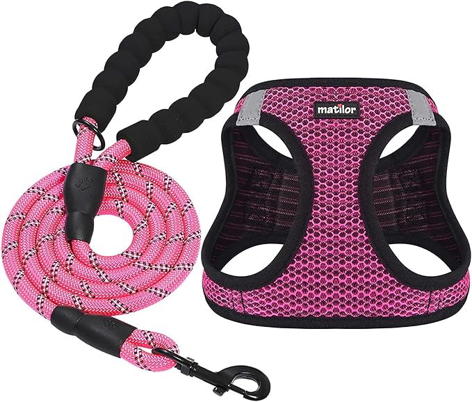 Dog Harness Step-in Breathable Puppy Cat Dog Vest Harnesses for Small Medium Dogs