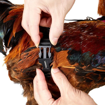 Chicken Harness Hen Size with 5.5ft Matching Leash – Adjustable, Resilient, Comfortable, Breathable, Large, Suitable for Chicken Weighing About 6.6 Pound,Orange