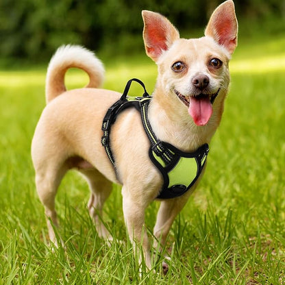 rabbitgoo Dog Harness, No-Pull Pet Harness with 2 Leash Clips, Adjustable Soft Padded Dog Vest, Reflective No-Choke Pet Oxford Vest with Easy Control Handle for Small Dogs, Wild Lime, XS