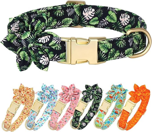 Beirui Cute Girl Dog Collars for Female Dogs