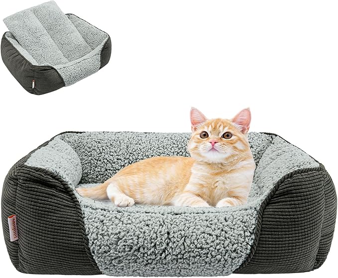 Miguel Washable Cat Beds for Indoor Cats with Removable Cushion 20 Inch