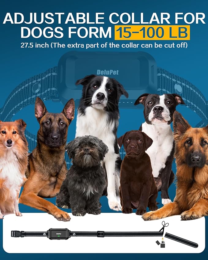 Dog Shock Collar with Remote 2600FT Dog 3 Training IPX7 Waterproof