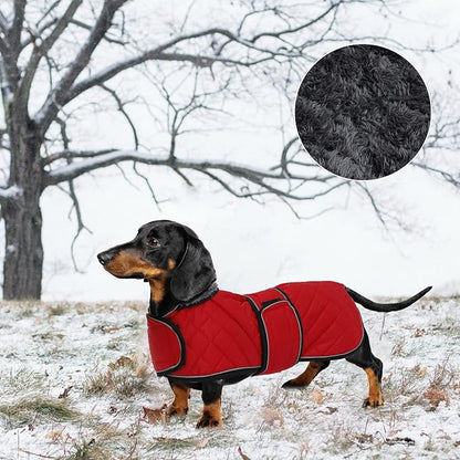Geyecete Warm Thermal Quilted Dachshund Coat