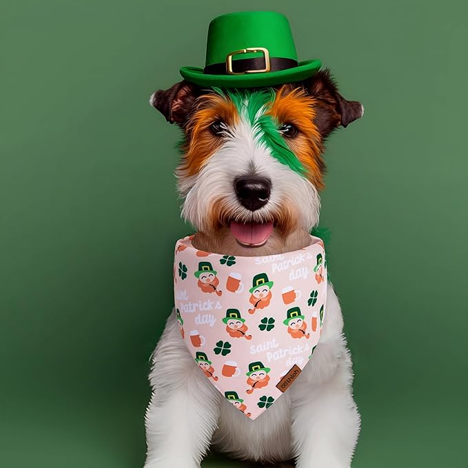 St. Patrick's Day Dog Bandana 2 Pack