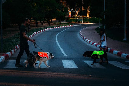 Dog Safety Reflective Lightweight Vest 6 Sizes - Snap Lock Buckle Straps, High Visibility for Outdoor Activity Day and Night, Keep Your Dog Safe from Cars & Hunting Accidents