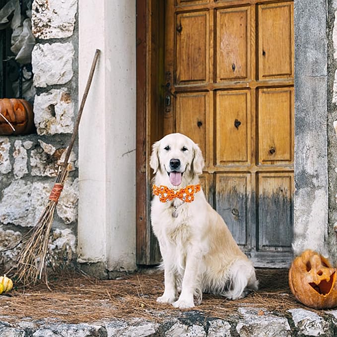 Elegant little tail Fall Dog Collar