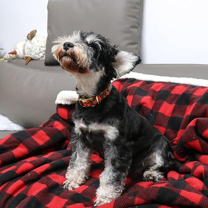 Unique style paws Dog Collar Metal Buckle Collar