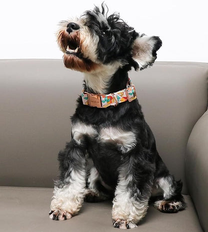 Unique style paws Dog Collar Metal Buckle Collar