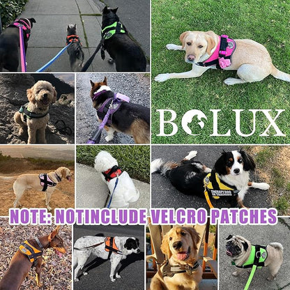 Bolux Dog Harness, No-Pull Reflective Dog Vest, Breathable Adjustable Pet Harness with Handle for Outdoor Walking - No More Pulling, Tugging or Choking (Lavender, Medium (Pack of 1))