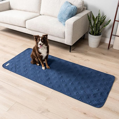 PetAmi Waterproof Couch Cover for Dogs 30x70 Blue