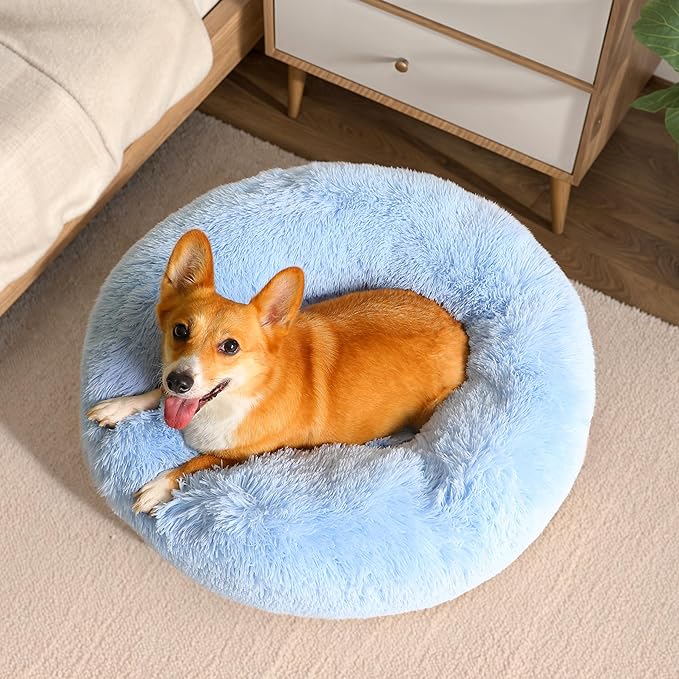 WESTERN HOME WH Calming Dog Bed & Cat Bed, Anti-Anxiety Donut Dog Cuddler Bed, Warming Cozy Soft Dog Round Bed, Dog Cat Cushion Bed for Small Medium Dogs and Cats