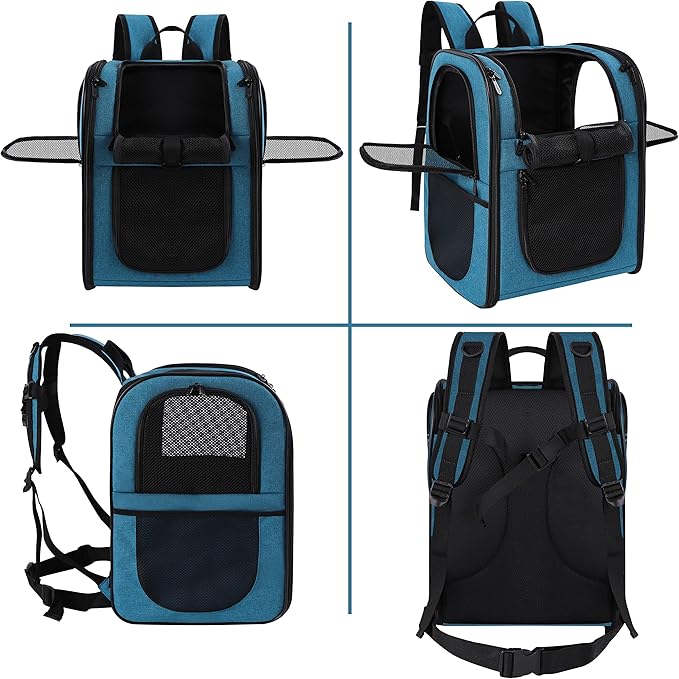 Apollo Walker Pet Carrier Backpack for Large/Small Cats and Dogs, Puppies, Safety Features and Cushion Back Support | for Travel, Hiking, Outdoor Use (Teal)