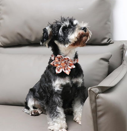 Unique Style Paws Cotton Dog Collar with Bow