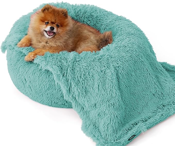 Bedsure Waterproof Dog Blankets for Small Dogs - Calming Cat Blanket for Couch Protector Washable, Long Faux Fur Pet Throw Blanket for Puppy, Reversible Furniture Protection, 25"x35", Light Green