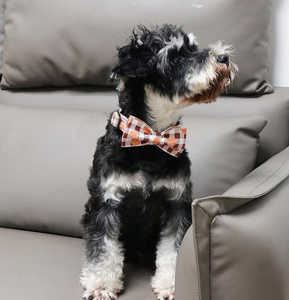 Unique Style Paws Cotton Dog Collar with Bow