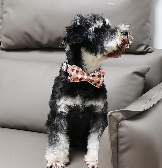 Unique Style Paws Cotton Dog Collar with Bow