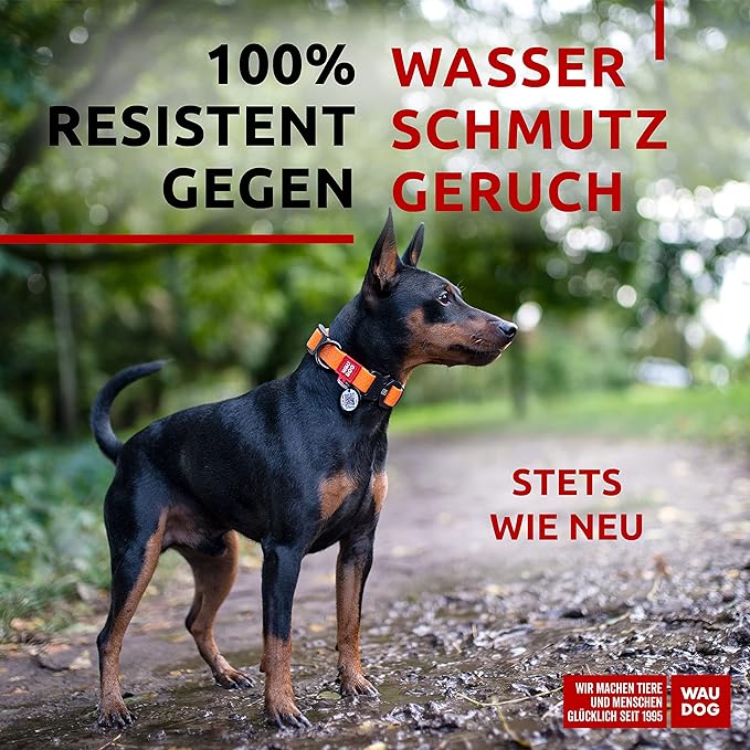 WAUDOG Waterproof Dog Collar