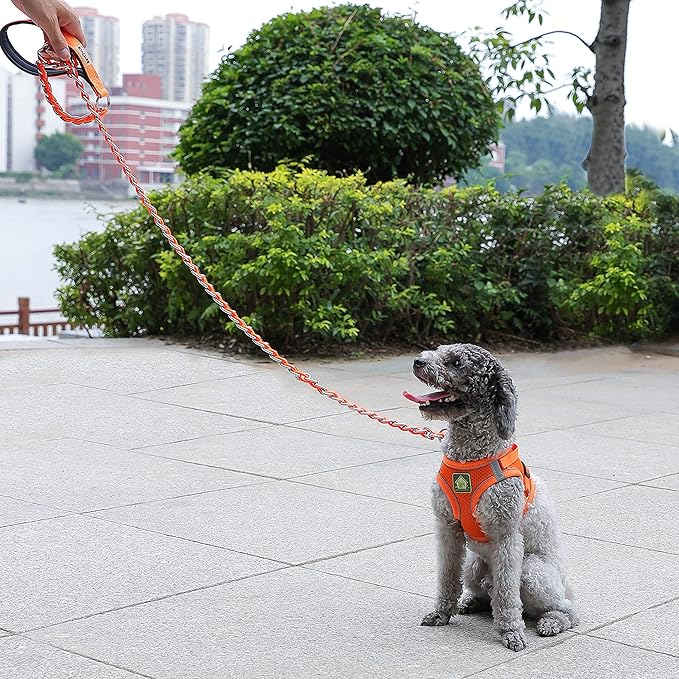 Chain Dog Leash Chew Proof Metal Leash for Medium Large Dogs 4FT Strong 3.0