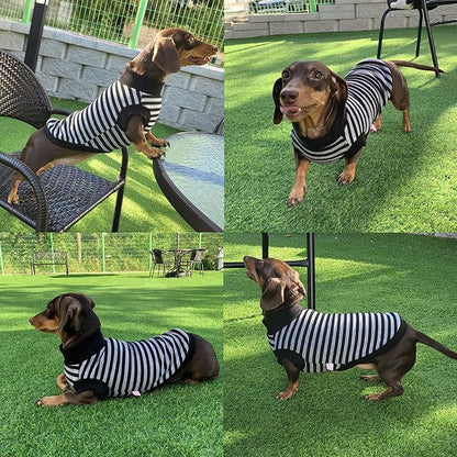 Dachshund Sweater for Dogs Lining Napping Stripe T Shirts (XS