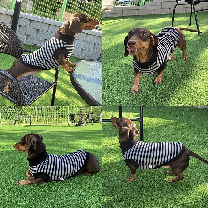 Dachshund Sweater for Dogs Lining Napping Stripe T Shirts (S