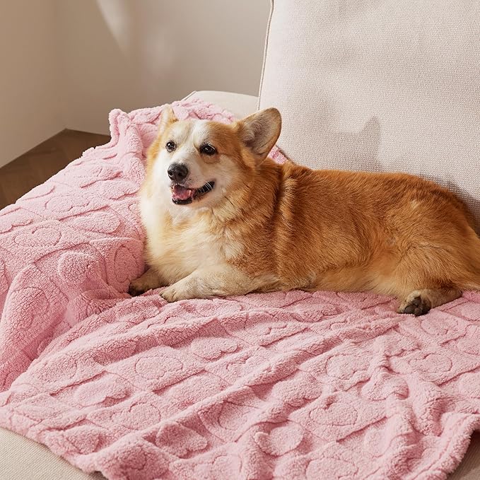 Bedsure Dog Blanket for Large Dogs Washable - Soft Fluffy Puppy Blanket with Premium 300GSM Coral Fleece, Cozy Calming Cat Blankets for Indoor Cats, Fuzzy Pet Blanket for Kitten Doggy, Pink, 40x50IN