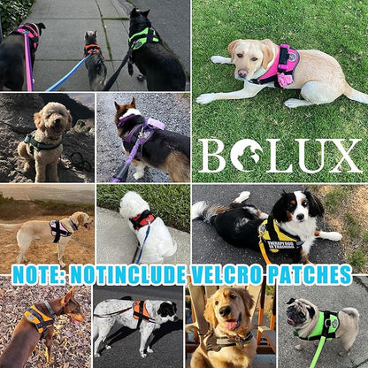 Bolux Dog Harness, No-Pull Reflective Dog Vest, Breathable Adjustable Pet Harness with Handle for Outdoor Walking - No More Pulling, Tugging or Choking (OceanicBlue, Large (Pack of 1))