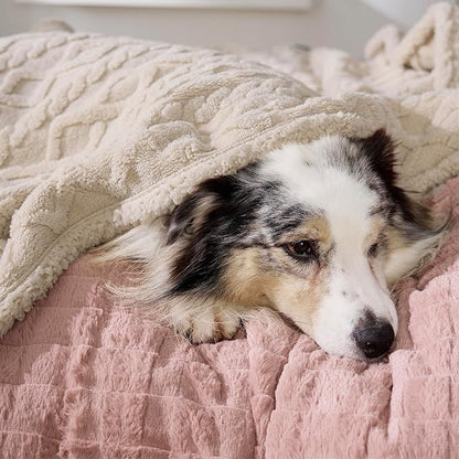 Bedsure Waterproof Dog Blankets for Large Dogs 50"x60", Cream