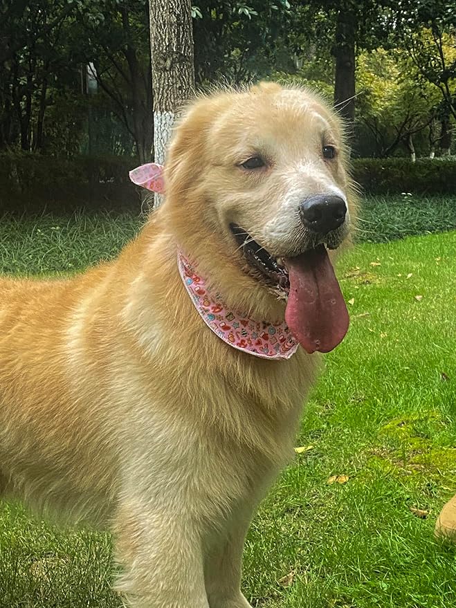 Christmas Day Dog Bandana Red Green Plaid Cotton