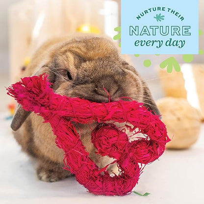 Oxbow Enriched Life Celebration Heart