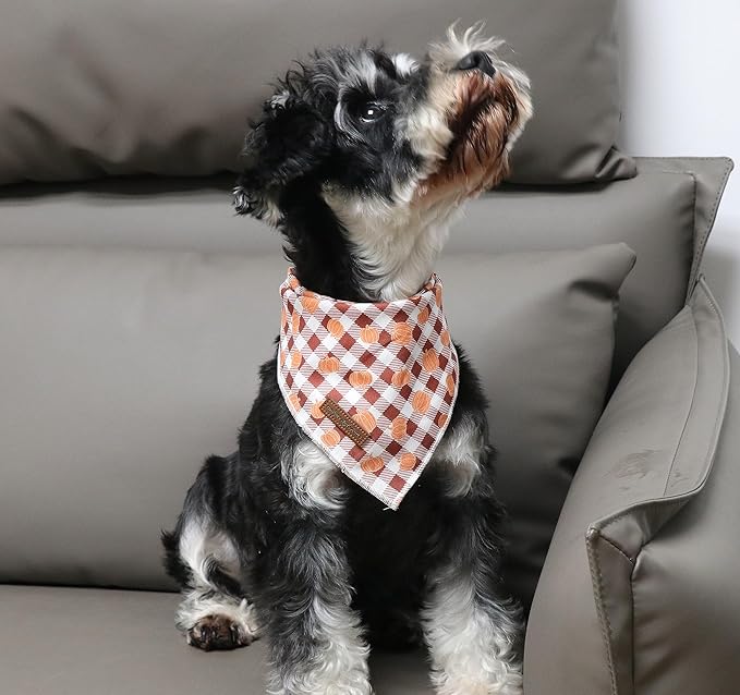 Unique Style Paws Cotton Dog Collar with Bow