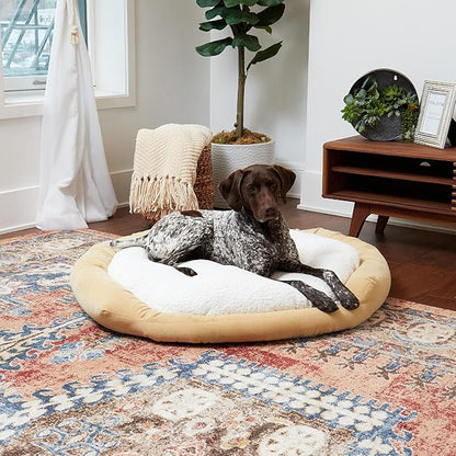 Maddie Donut Dog Bed with Removable Center Pillow (42" x 42")