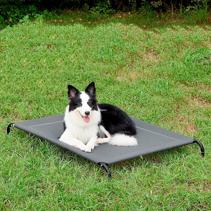 Elevated Dog Bed 35.4x23.6 x 5.9in, Portable