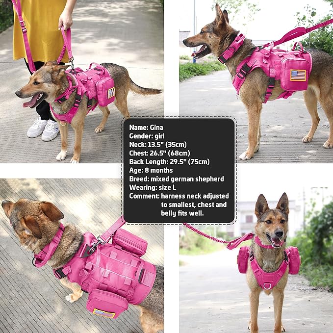 Forestpaw Pink Tactical Dog Harness for Large Dogs,Tactical Dog Collar with Bungee Leash Set,No Pull Military Dog Harness for Dog Walking Training,Adjustable for Medium Large Dogs,L