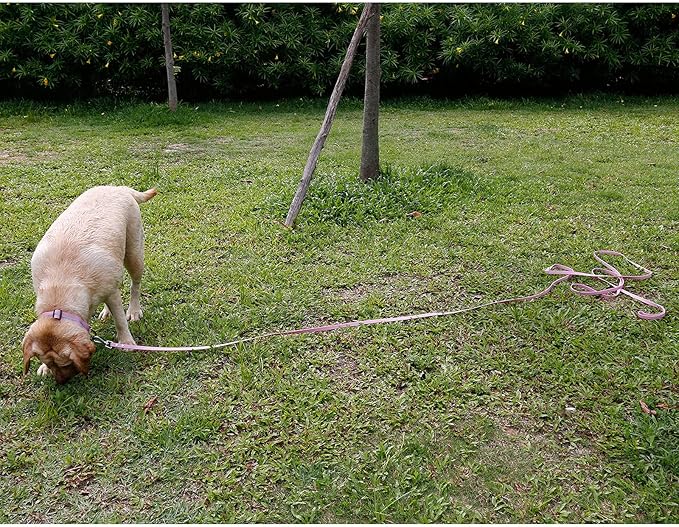 Long Leash Waterproof Training Longline Outdoor Dog Leash Great for Training