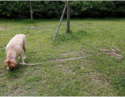 Long Leash Waterproof Training Longline Outdoor Dog Leash Great for Training