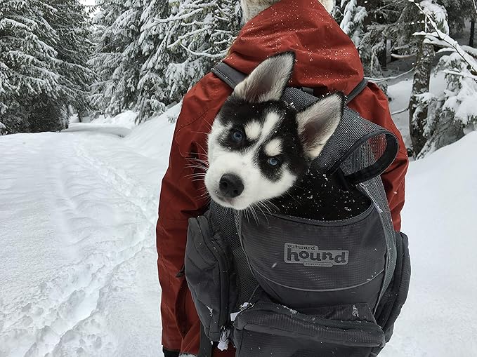 Outward Hound Poochpouch Backpack Small Dog Carrier, Grey