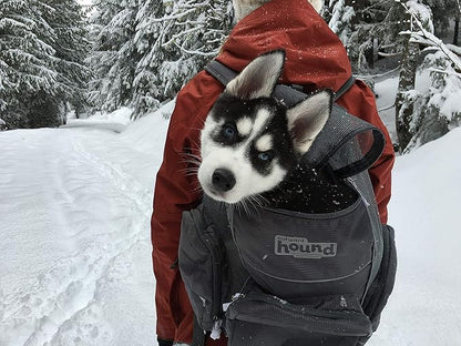 Outward Hound Poochpouch Backpack Small Dog Carrier, Grey