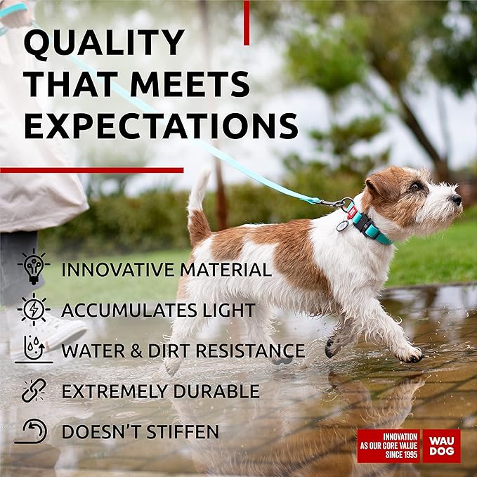 WAUDOG Waterproof Dog Collar