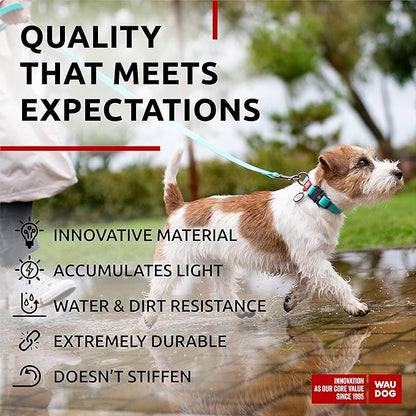 WAUDOG Waterproof Dog Collar
