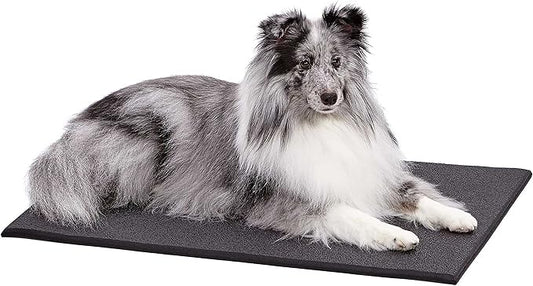 MidWest Homes for Pets MAT30 Cushioned Dog Crate Mat
