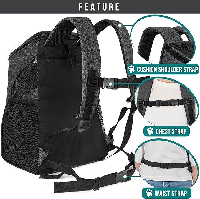 PetAmi Small Dogs and Cat Backpack Carrier, Airline Approved Pet Backpack Carrier, Ventilated, Safety Strap, Buckle Support Designed for Hiking Travel Camping Outdoor, Max 18 lbs (Dark Gray)