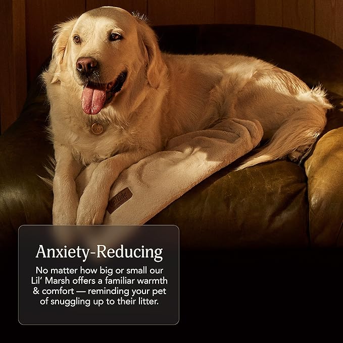 UnHide Lil’ Pet Marsh 34” x 44”