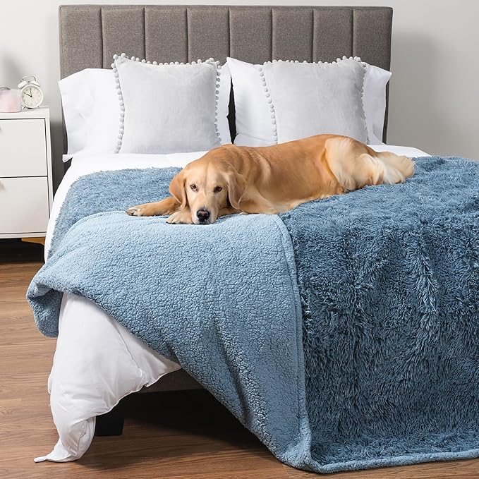 PetAmi Waterproof Dog Blanket for Large Dog 60x80 Light