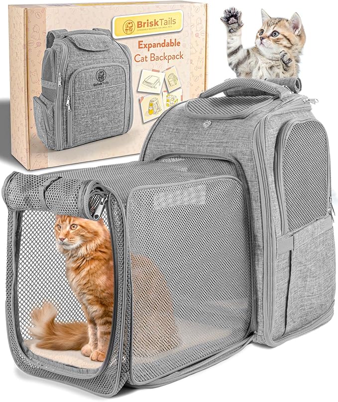 Expandable Cat Backpack Carrier - Breathable BT-01 Cat Carrier Backpacks for Comfy Long Walks - from Kitty to Medium-Size cat up to 15lbs